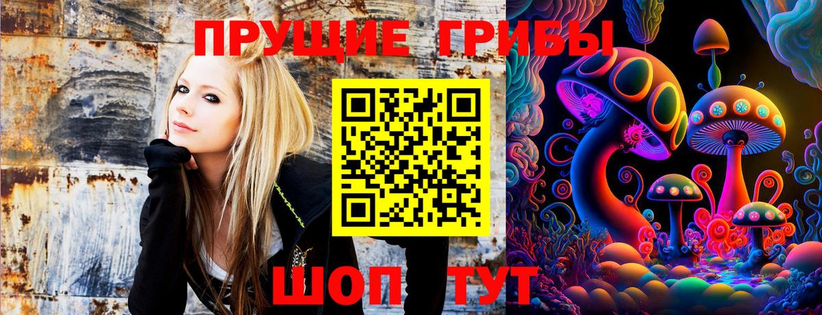 Торжок  Галлюциногенные грибы GOLDEN TEACHER  Вход с VPN 