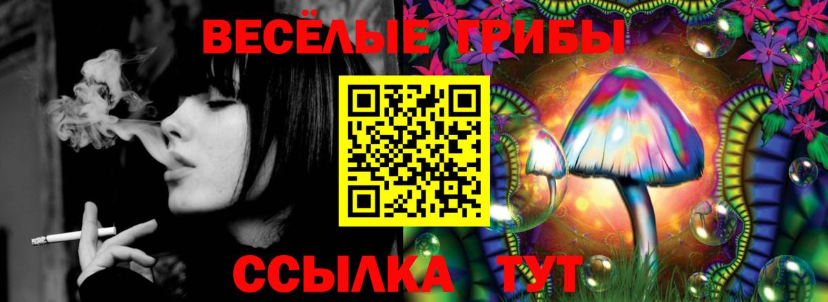 Галлюциногенные грибы Magic Shrooms Торжок